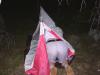 kity2006-019-stv